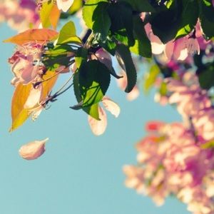 Meet your Posher, Alani